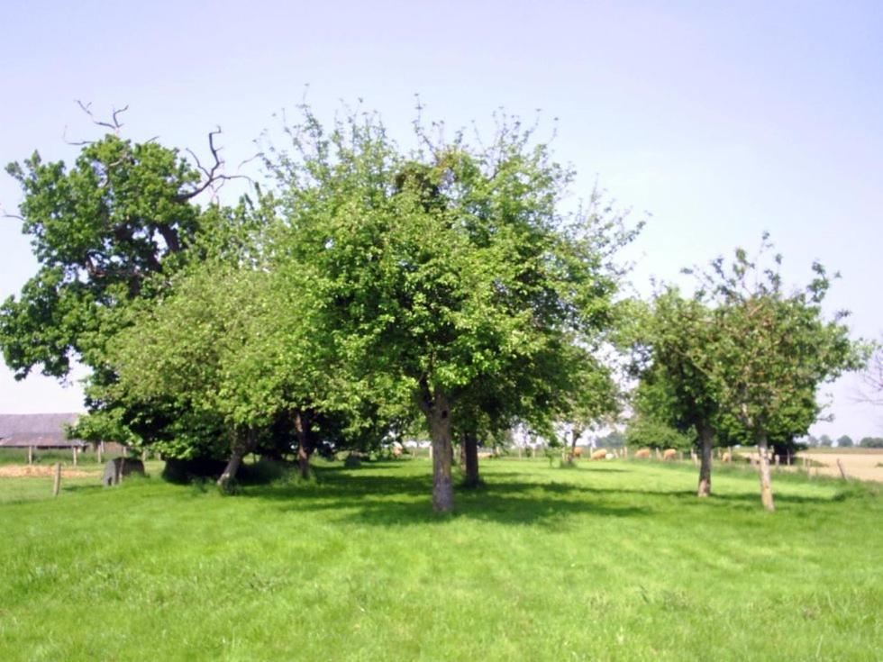 Chambres D'Hote Honey Orchard Farm Vessey Esterno foto