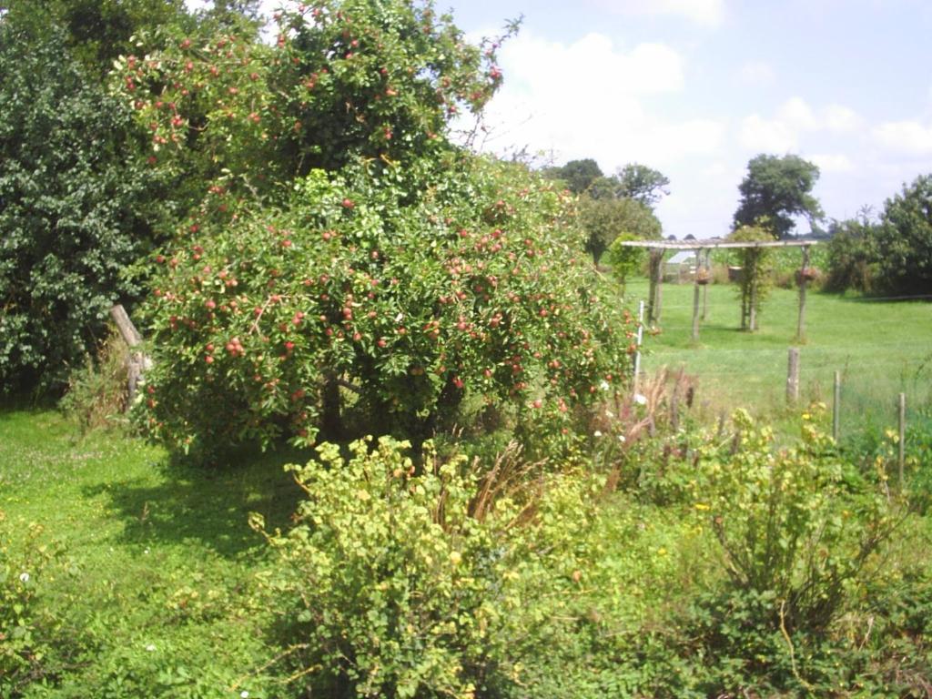 Chambres D'Hote Honey Orchard Farm Vessey Esterno foto